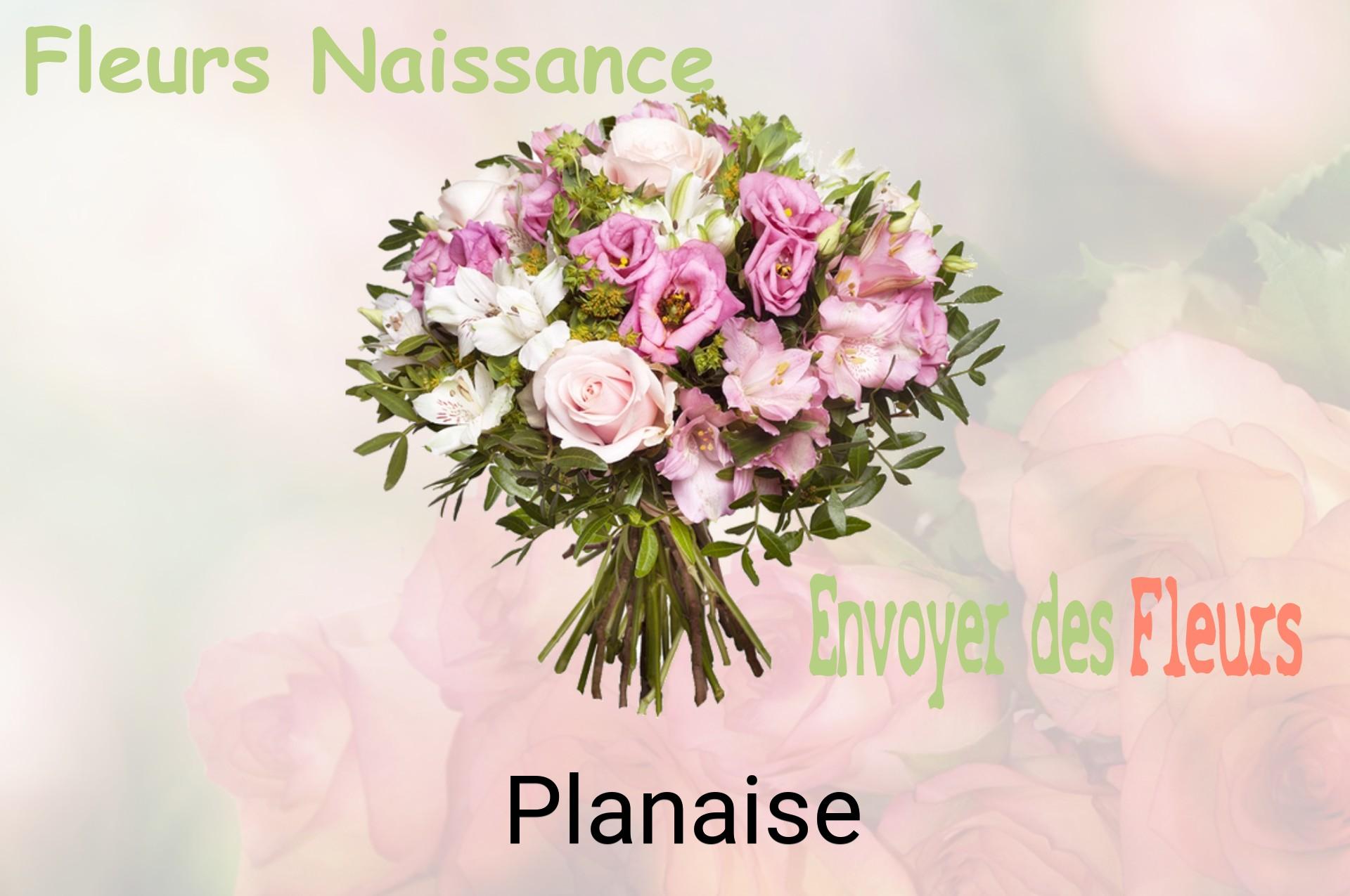 Bouquet de fleurs de naissance livré à Planaise