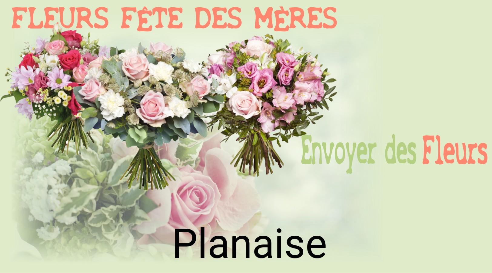 Bouquet de Fête des Mères livré à Planaise